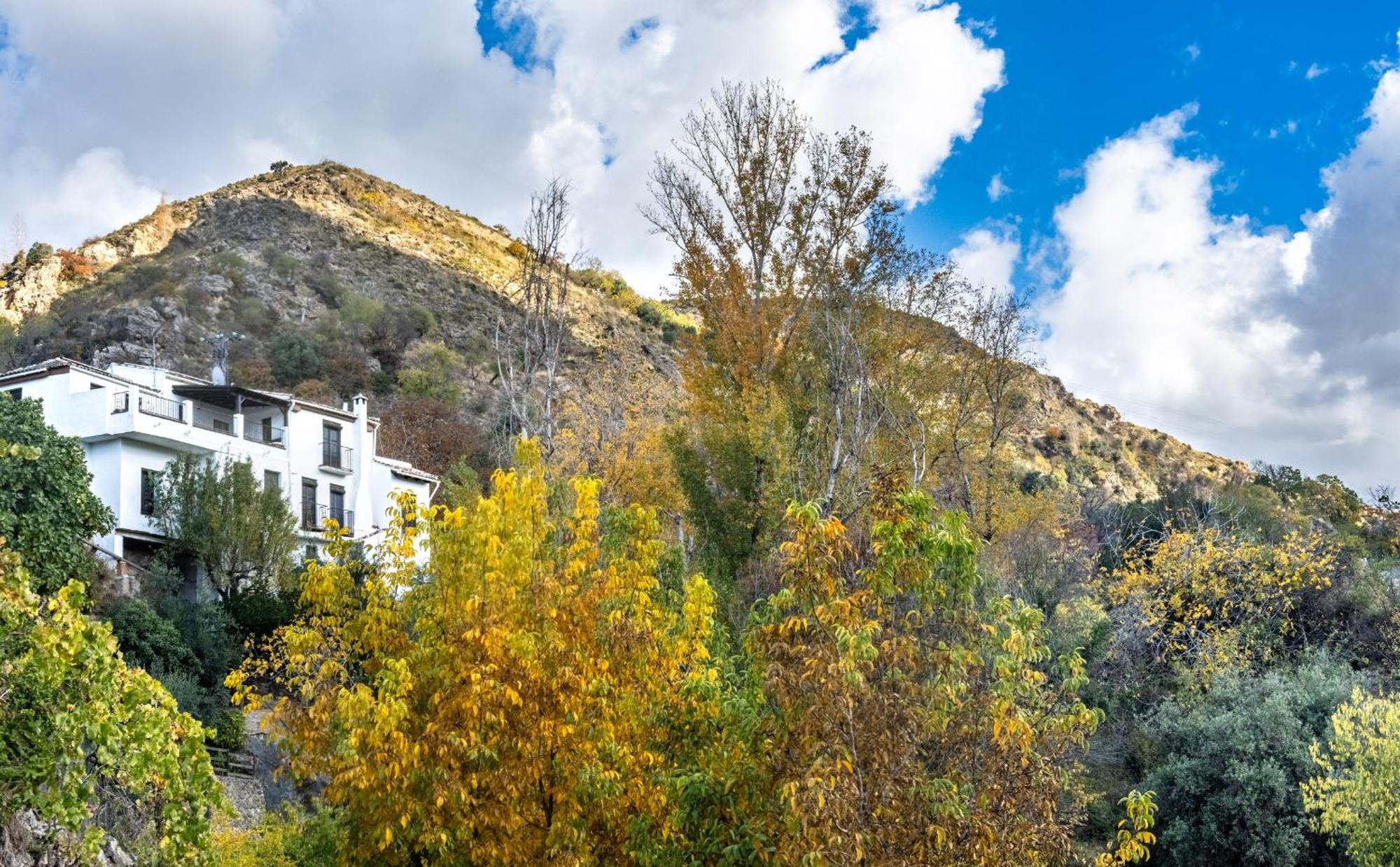 Casa Rural Arroyo De La Greda Guejar Sierra Exterior photo